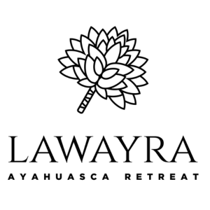 Ayahuasca In Colombia
