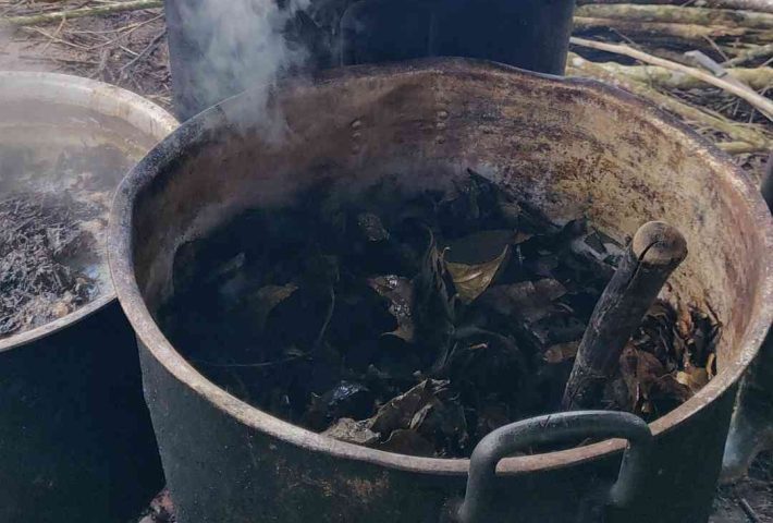 How Is Ayahuasca Made