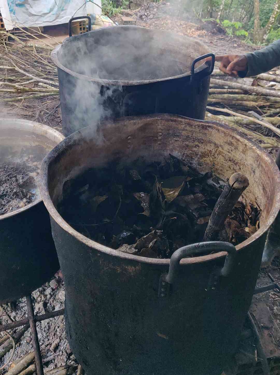 Understanding the Symbolism in Ayahuasca Visions - Ayahuasca In Colombia