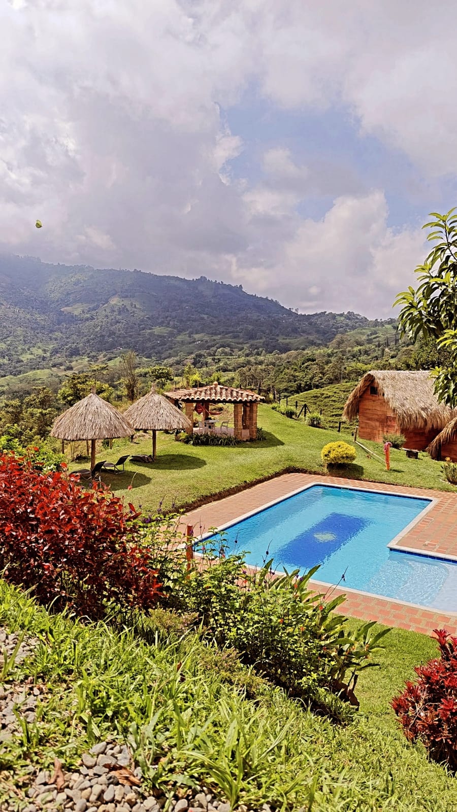 Iowaska Resort: Find Peace and Adventure - Ayahuasca In Colombia